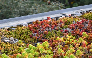 the cost of Lower Tuffley green roof installation