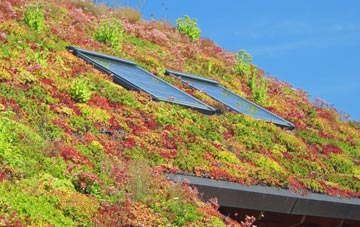 Lower Tuffley living roof systems